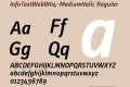 InfoTextWeb-MediumItalic