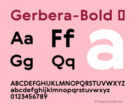 Gerbera-Bold
