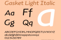 Gasket Light