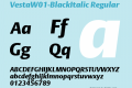 Vesta-BlackItalic