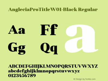 AngleciaProTitle-Black