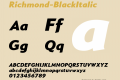 Richmond-BlackItalic