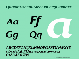 Quadrat-Serial-Medium