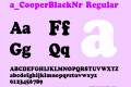 a_CooperBlackNr