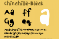 Chinchilla-Black