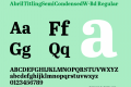 AbrilTitlingSemiCondensedW-Bd