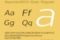 Nauman-Italic