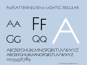 P22PlattenNeu-LightSC