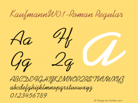 Kaufmann-Roman