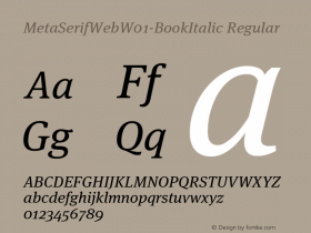 MetaSerifWeb-BookItalic