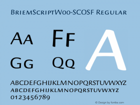 BriemScript-SCOSF