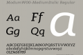 Modum-MediumItalic