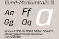 Eund-MediumItalic