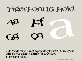 TigerFont16