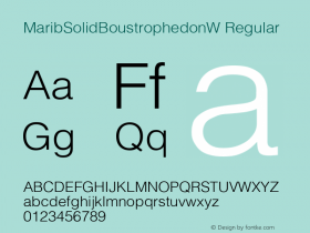 MaribSolidBoustrophedonW