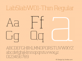 LabSlab-Thin