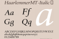 HaarlemmerMT-Italic