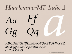 HaarlemmerMT-Italic