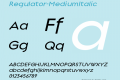 Regulator-MediumItalic