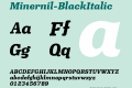 Minernil-BlackItalic