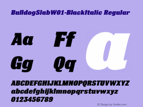 BulldogSlab-BlackItalic