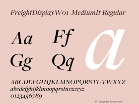 FreightDisplay-MediumIt