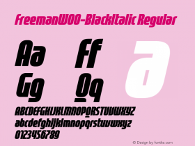 Freeman-BlackItalic