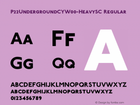 P22UndergroundCY-HeavySC