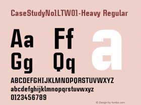 CaseStudyNo1LT-Heavy