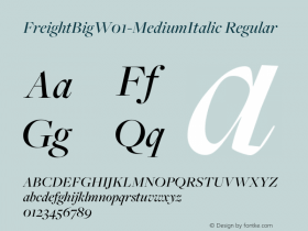 FreightBig-MediumItalic