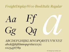 FreightDisplay-BookItalic