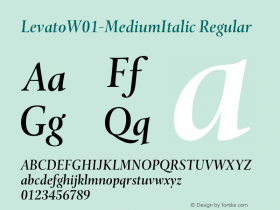 Levato-MediumItalic