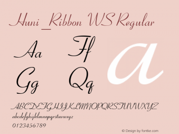 Huni_Ribbon WS