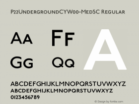 P22UndergroundCY-MedSC