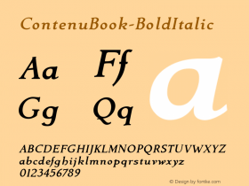 ContenuBook-BoldItalic