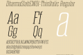 DharmaSlabE-ThinItalic