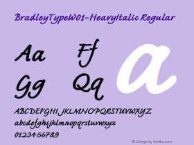 BradleyType-HeavyItalic