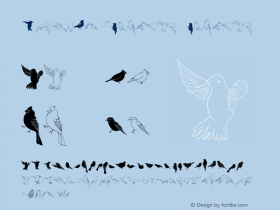 Birds-Regular
