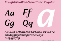 FreightNeo-SemiItalic