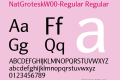 NatGrotesk-Regular