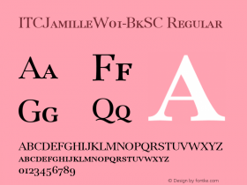 ITCJamille-BkSC