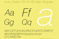 Huni_Swiss 733 Th WS Italic