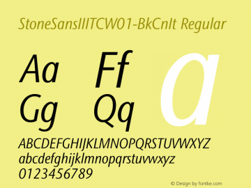 StoneSansIIITC-BkCnIt