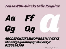 Tenso-BlackItalic