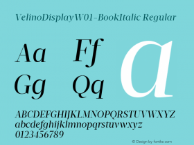 VelinoDisplay-BookItalic