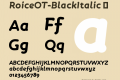 RoiceOT-BlackItalic