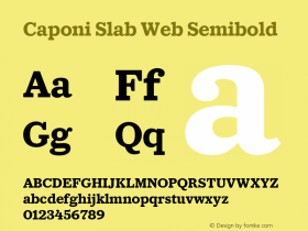 Caponi Slab Web