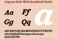 Caponi Slab Web Semibold