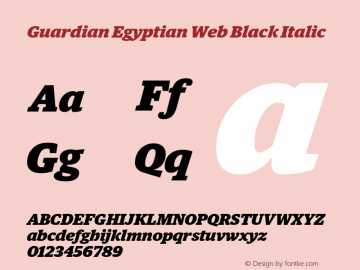 Guardian Egyptian Web Black