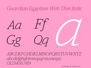 Guardian Egyptian Web Thin